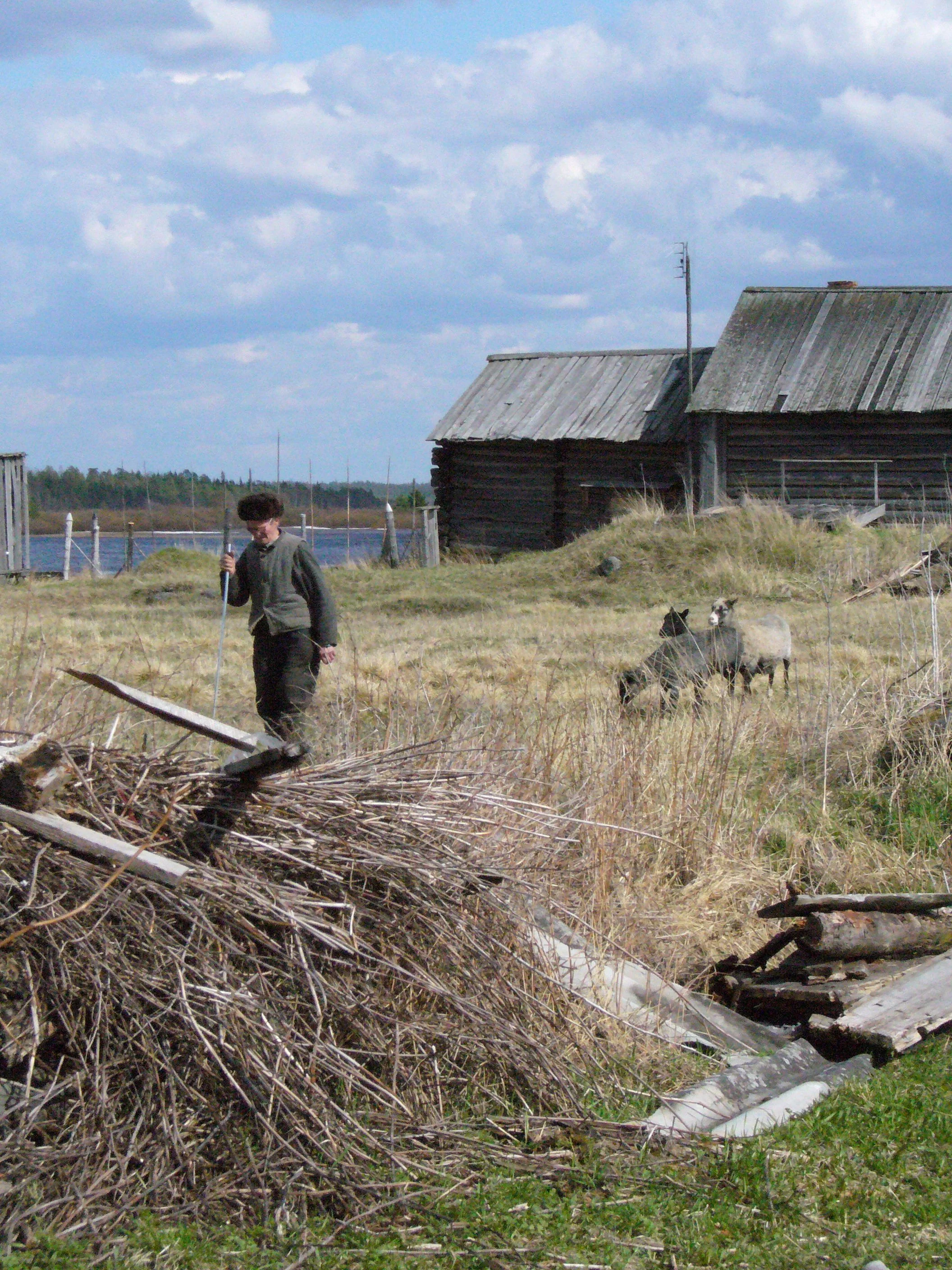 Paanajärven kasvot | Faces of Paanajärvi