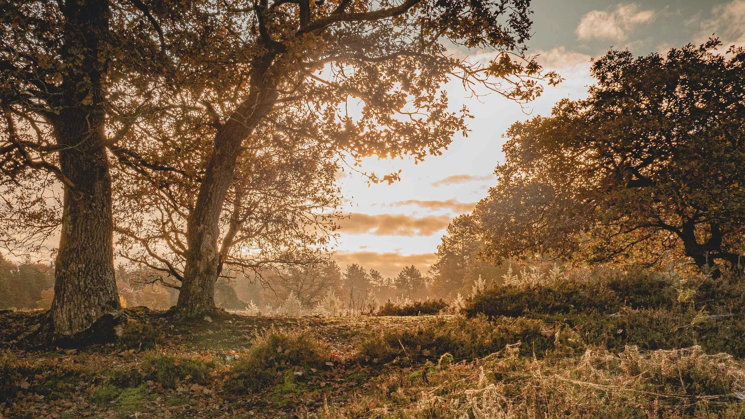 Orvelte, Drenthe — Where Stillness Becomes a Teacher