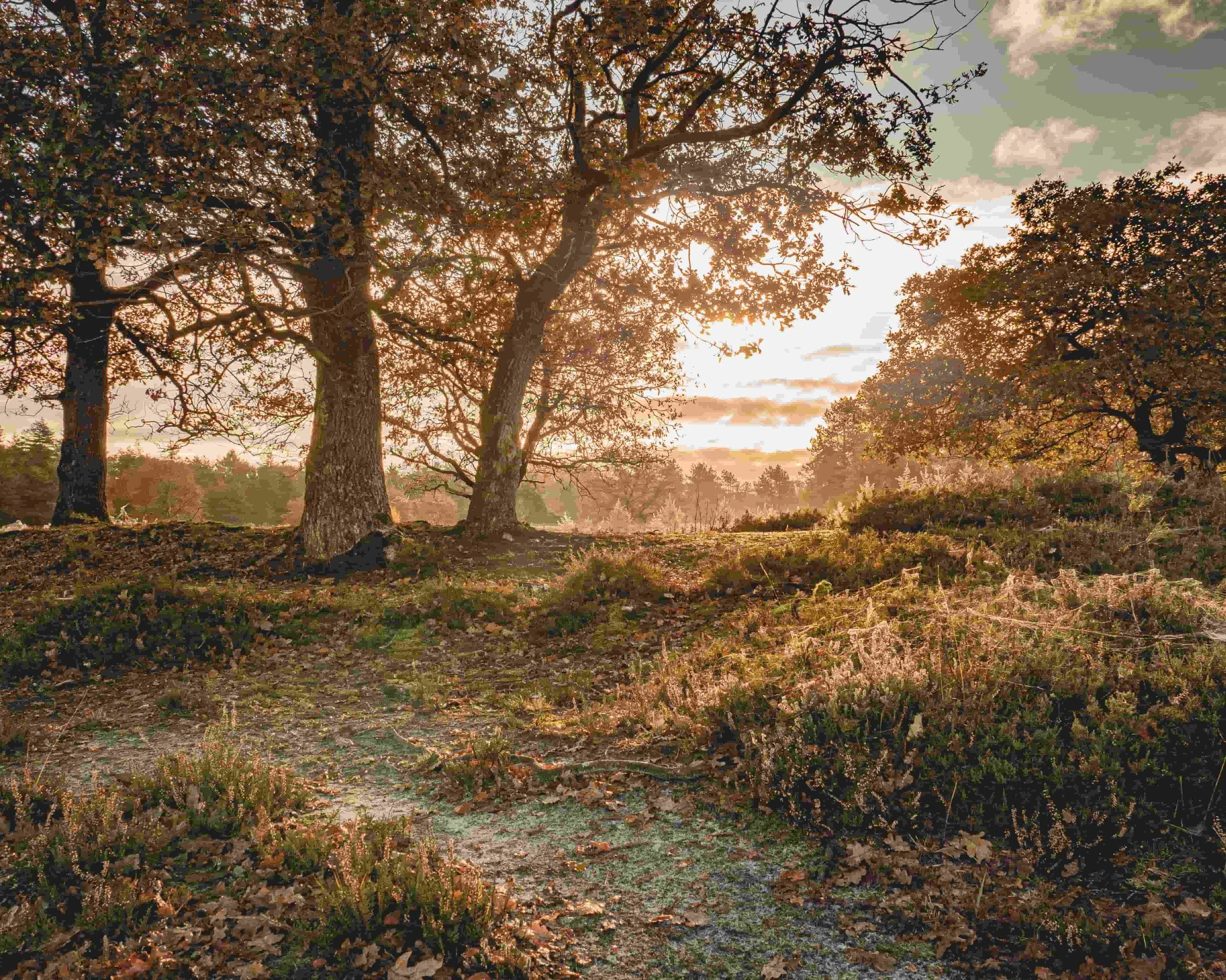Orvelte, Drenthe — waar stilte een leraar wordt