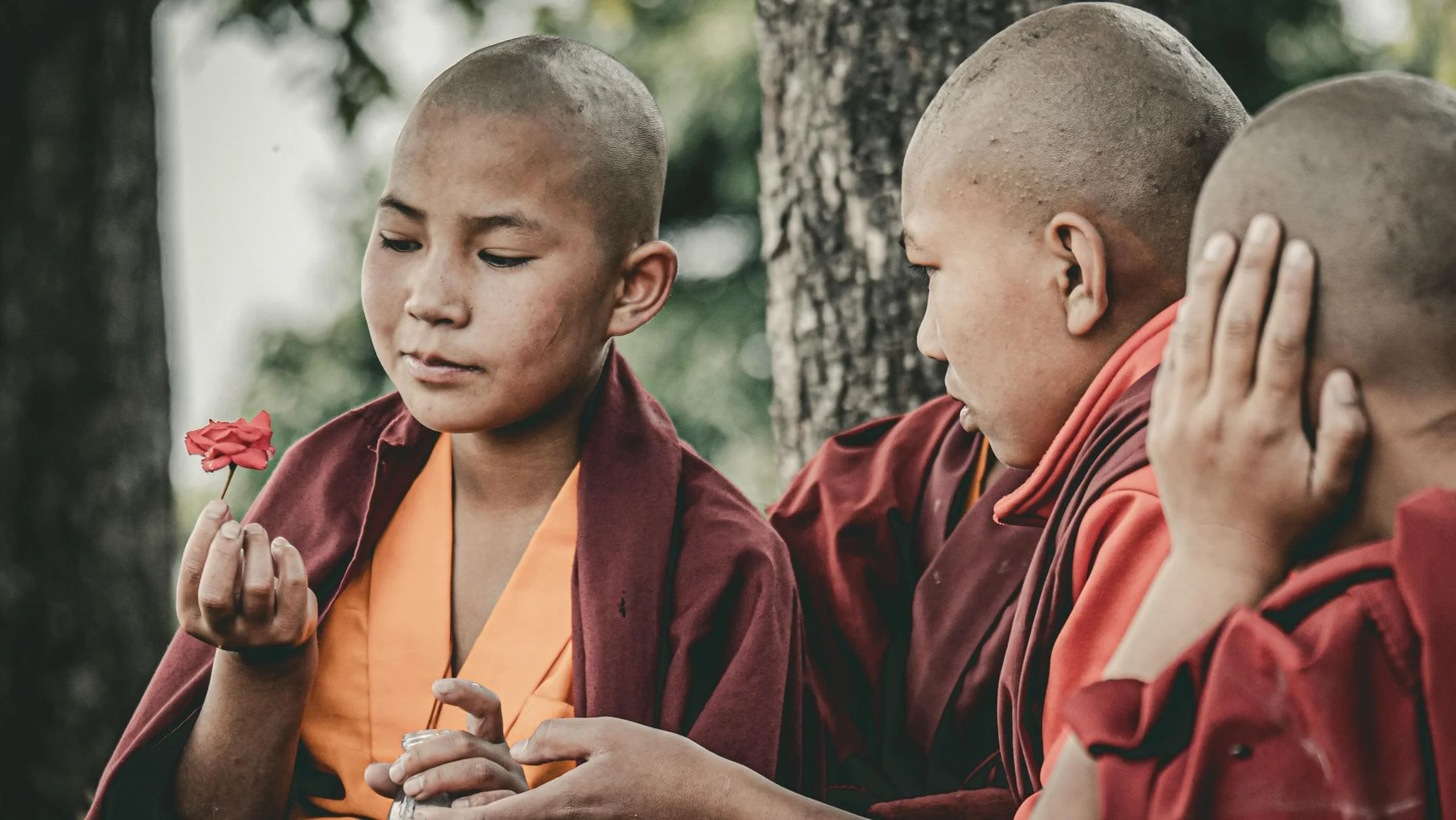 Visual Storytelling: The Power of the Story