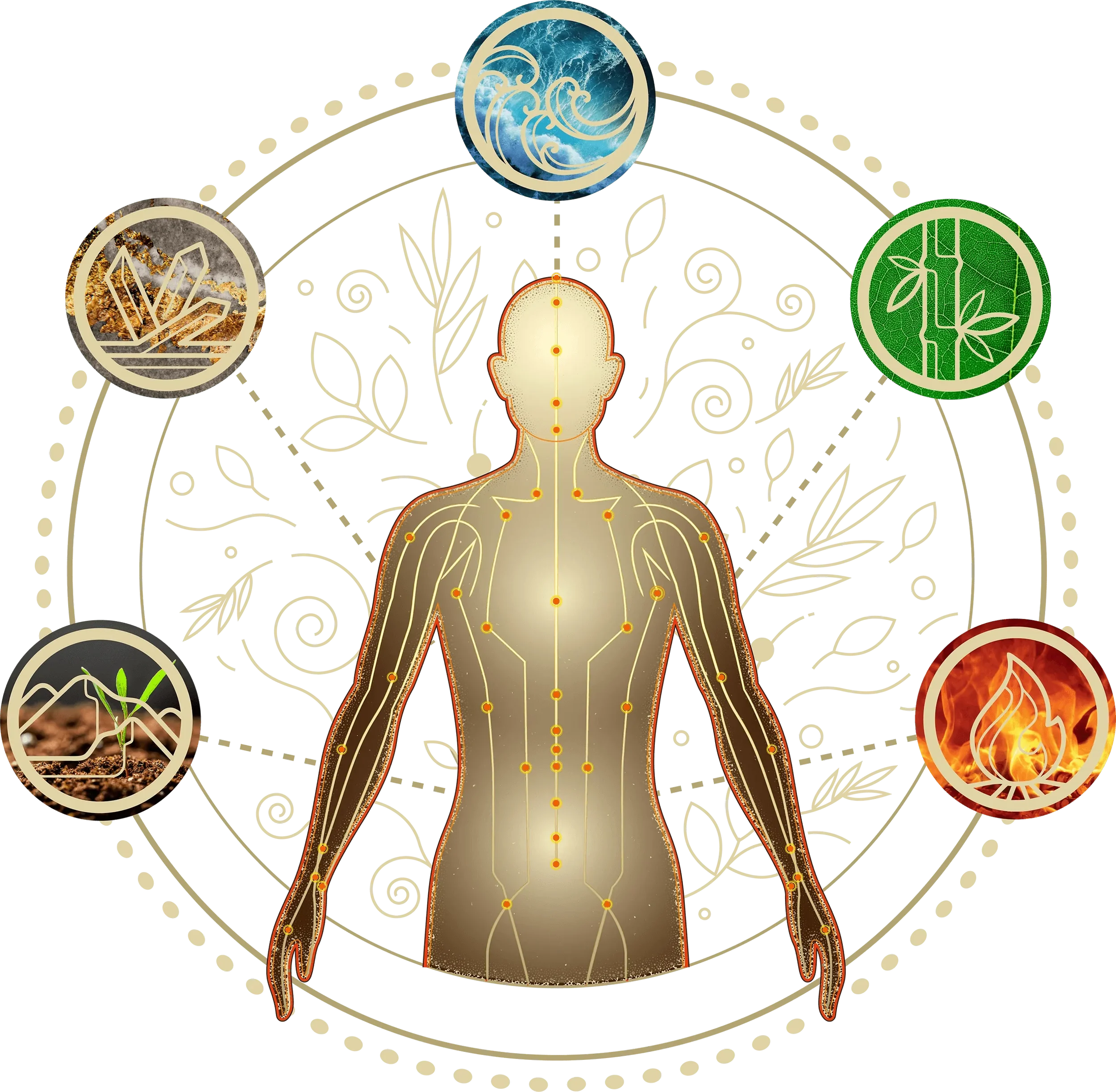 Illustration of a human figure with acupuncture points, surrounded by symbols representing the five elements: water, wood, fire, earth, and metal, with floral and natural backgrounds.