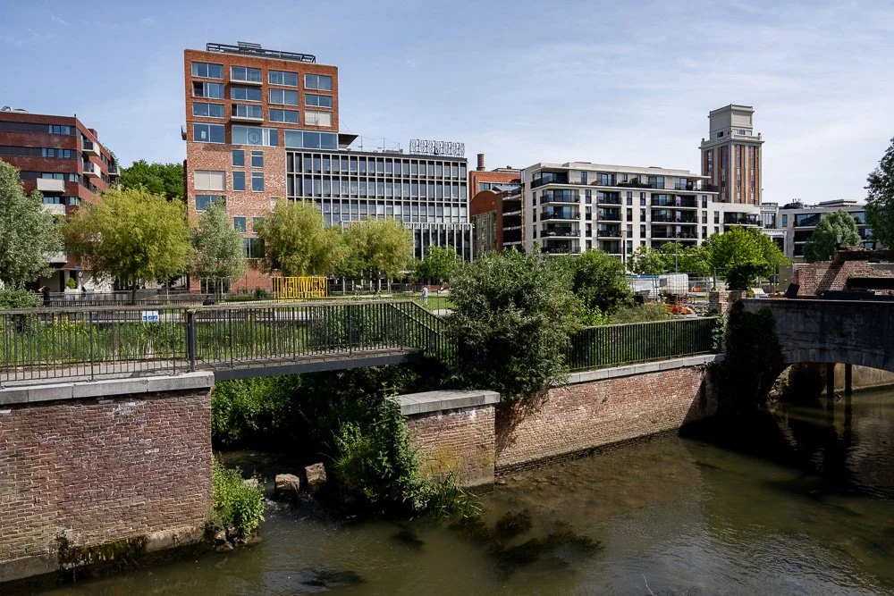 20260523_leuven_dijle_114.jpg