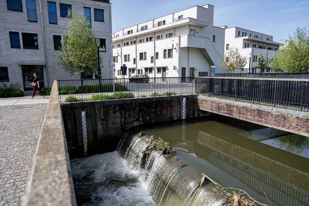 20260523_leuven_dijle_067.jpg