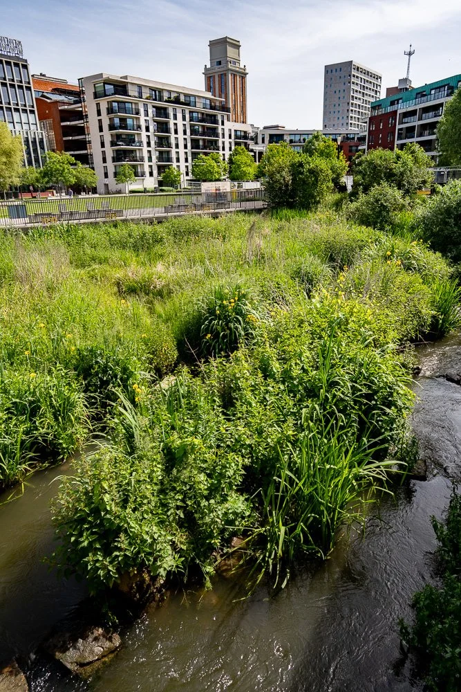 20260523_leuven_dijle_104.jpg