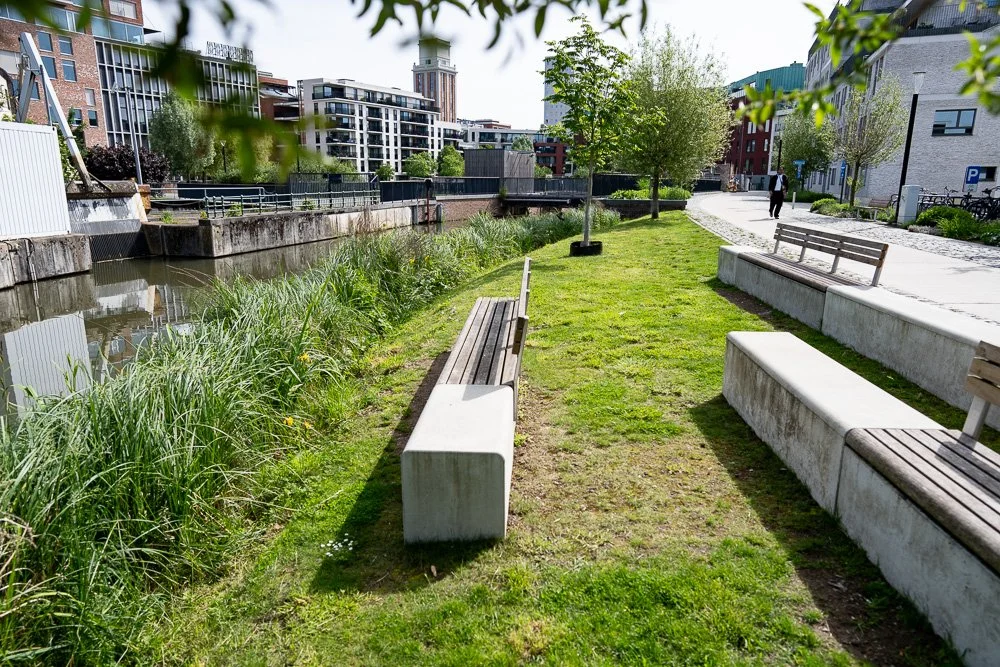 20260523_leuven_dijle_048.jpg