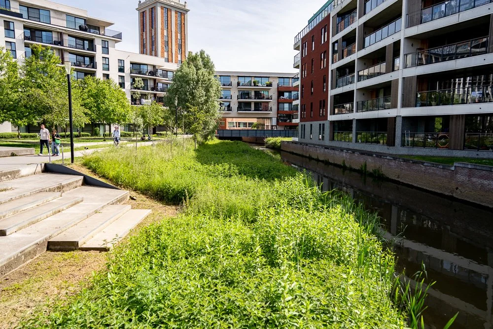20260523_leuven_dijle_102.jpg