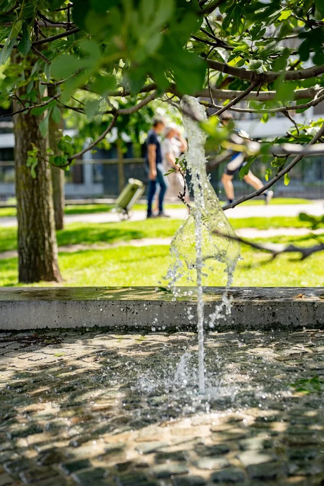 20260523_leuven_dijle_164.jpg