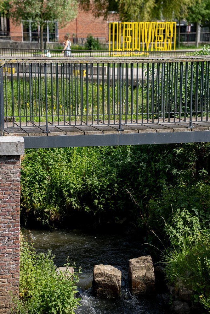 20260523_leuven_dijle_119.jpg