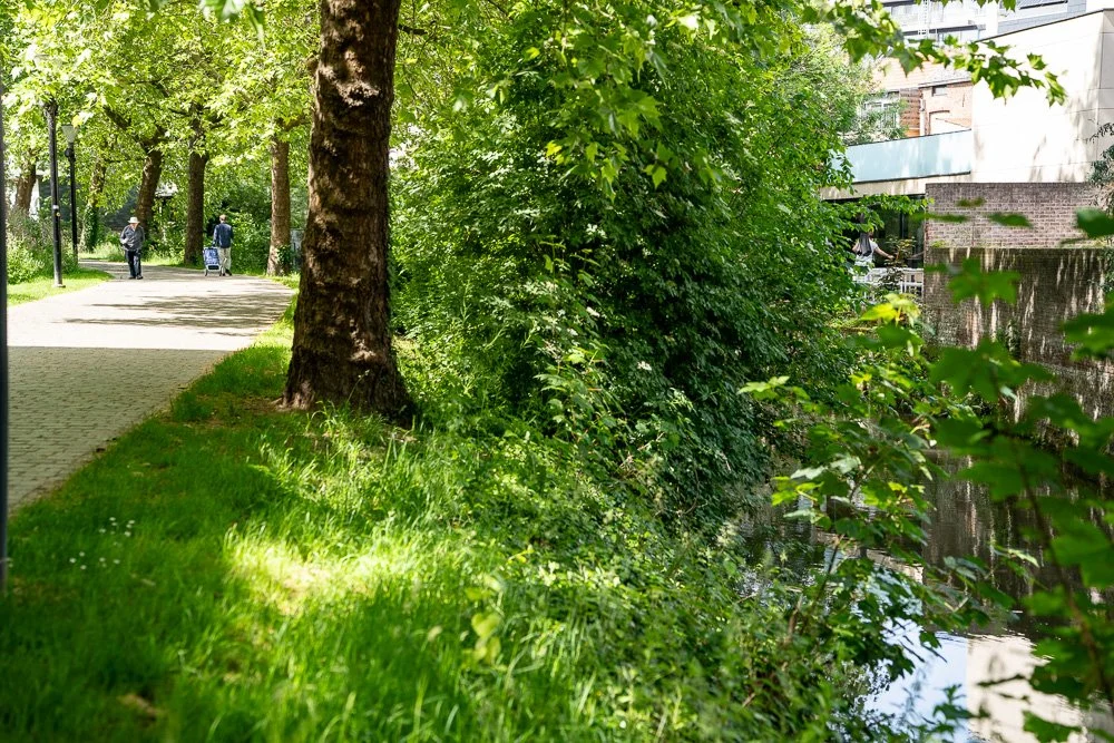 20260523_leuven_dijle_201.jpg