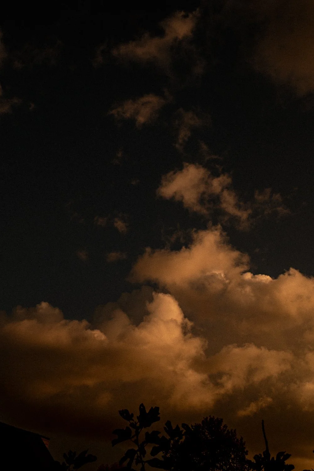 273. Avond