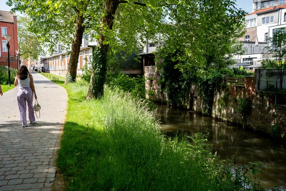 20260523_leuven_dijle_187.jpg