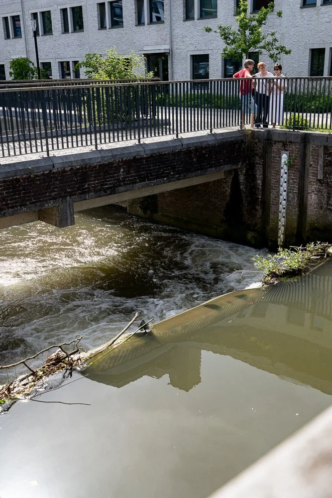 20260523_leuven_dijle_020.jpg