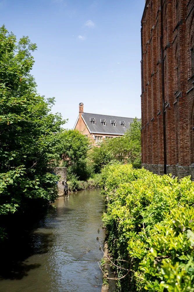 20260523_leuven_dijle_228.jpg