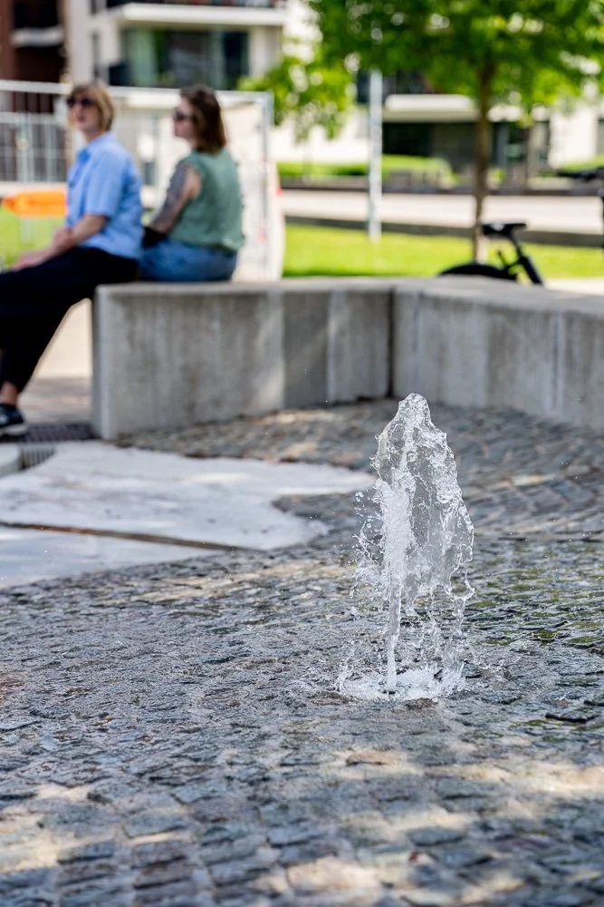 20260523_leuven_dijle_161.jpg
