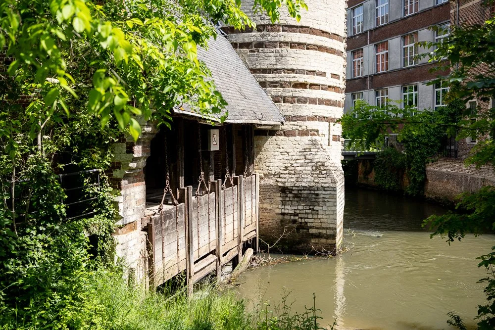 20260523_leuven_dijle_230.jpg