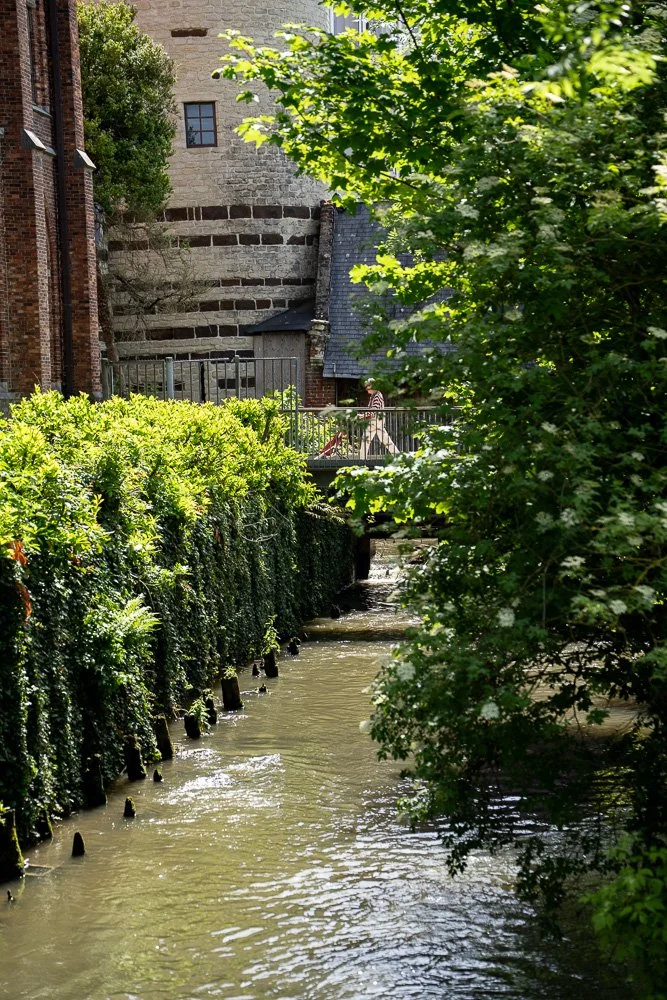 20260523_leuven_dijle_258.jpg