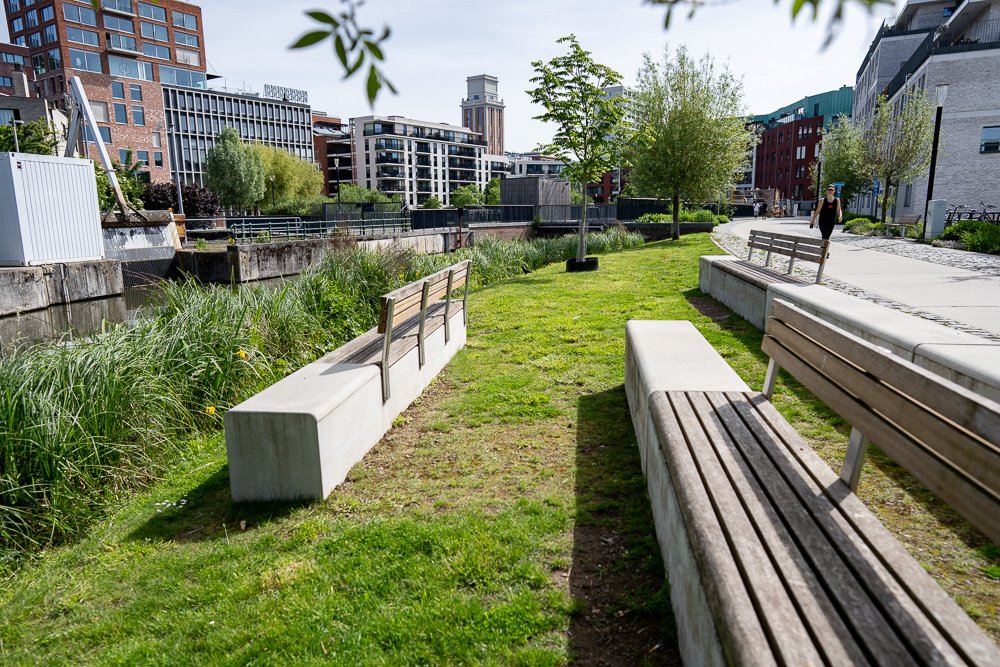 20260523_leuven_dijle_039.jpg