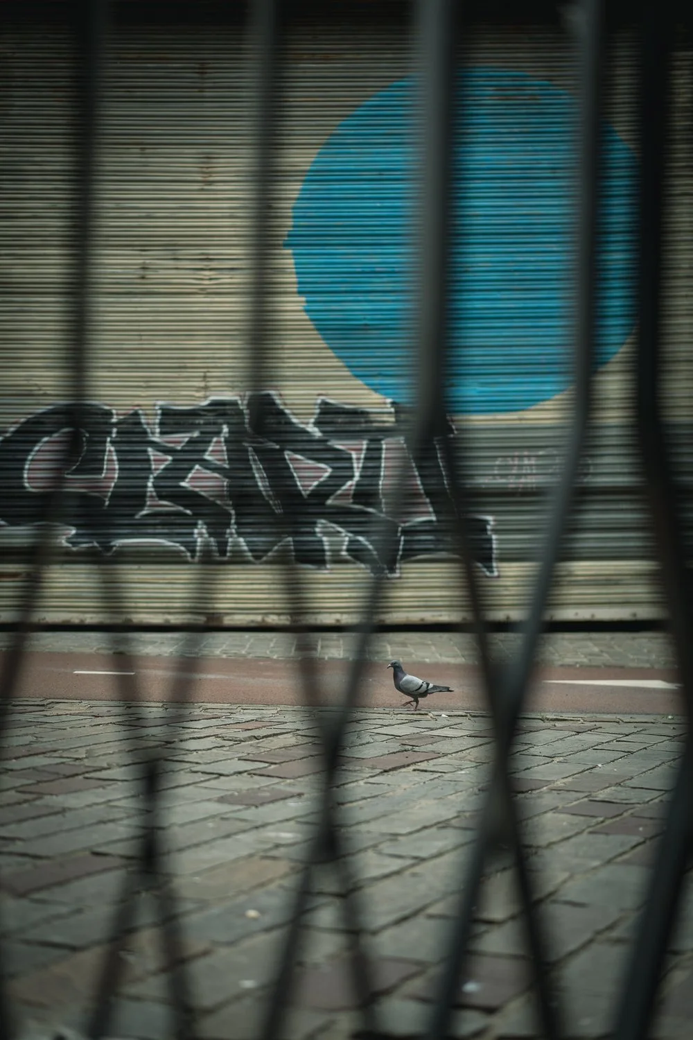 168. Blauwe geschelpte