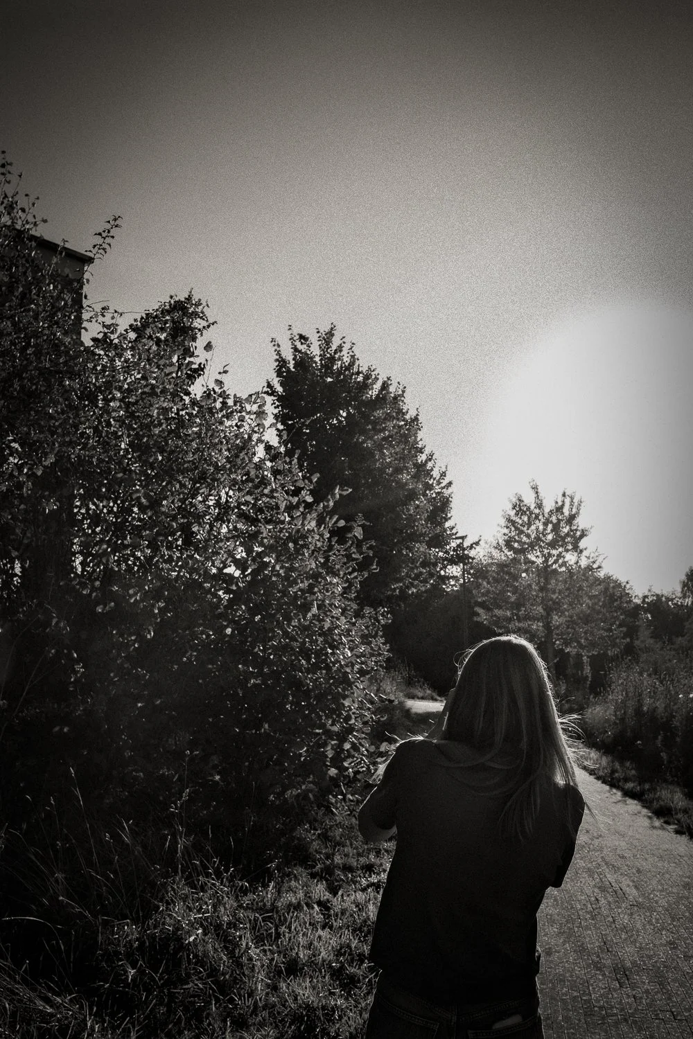 253. Fotoles
