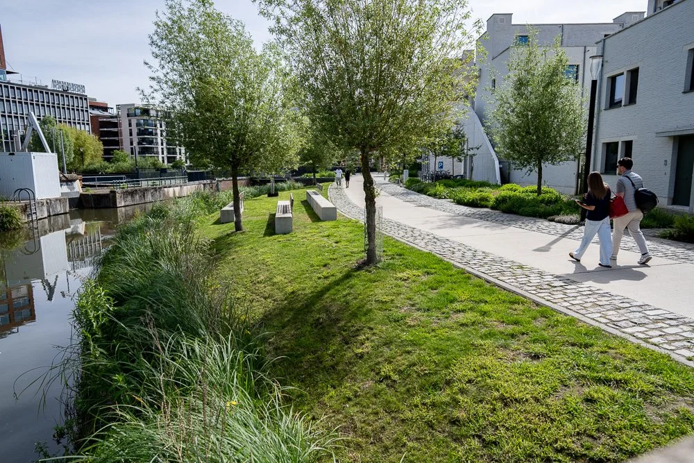 20260523_leuven_dijle_057.jpg