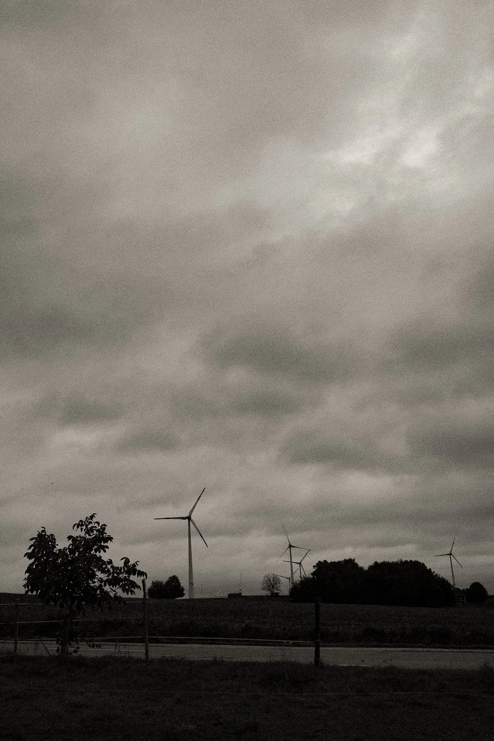 267. Veel wind