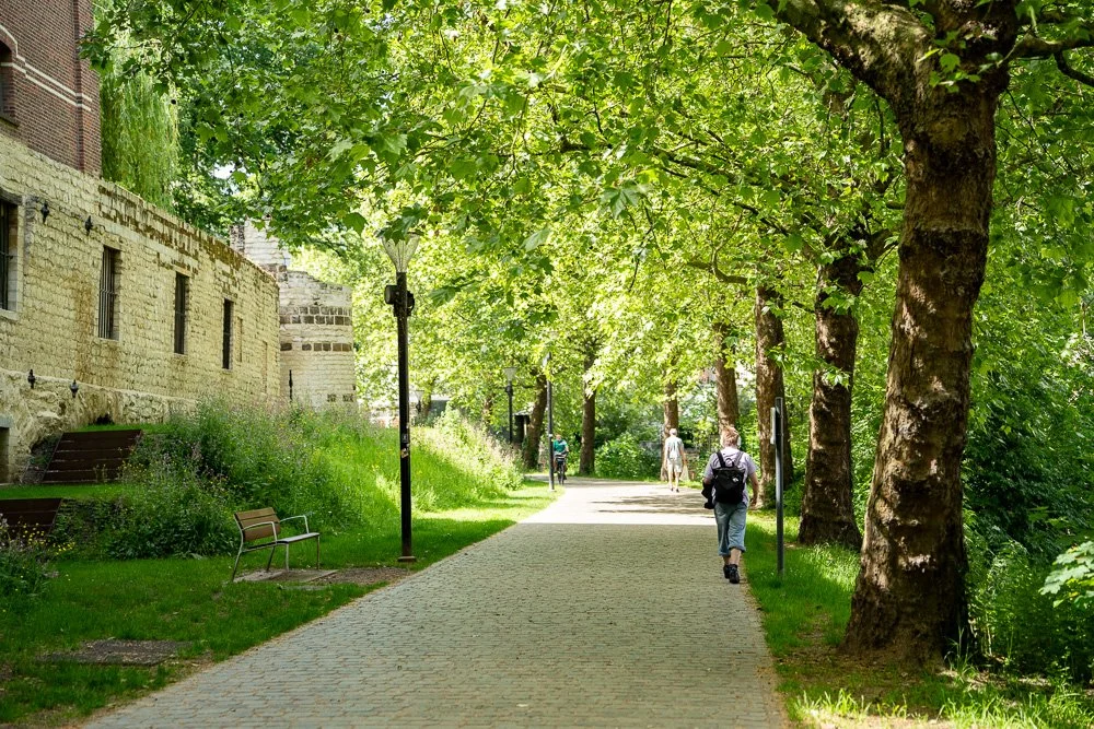 20260523_leuven_dijle_222.jpg