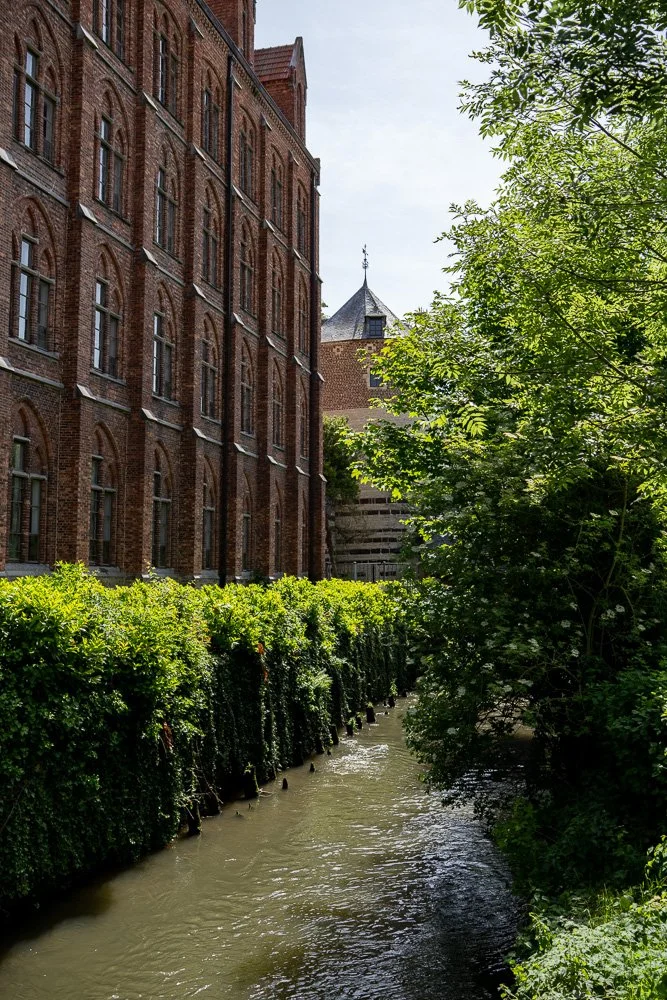 20260523_leuven_dijle_251.jpg