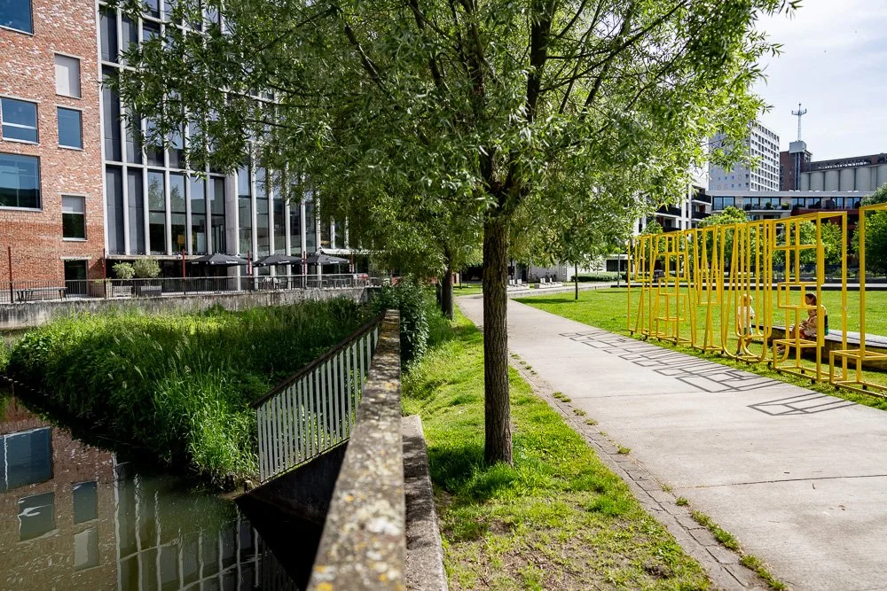 20260523_leuven_dijle_084.jpg