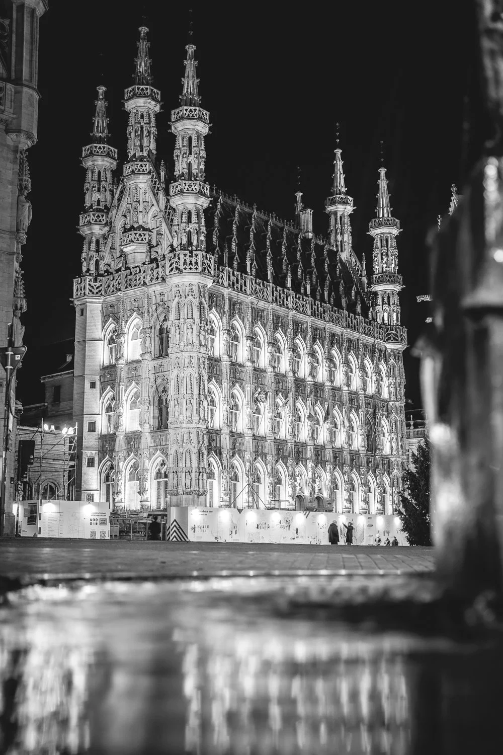 20260115_365_21_leuven_069.jpg
