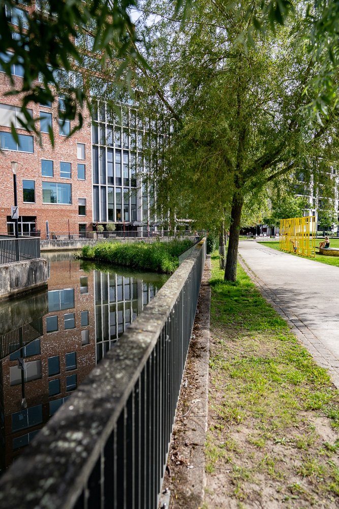 20260523_leuven_dijle_080.jpg