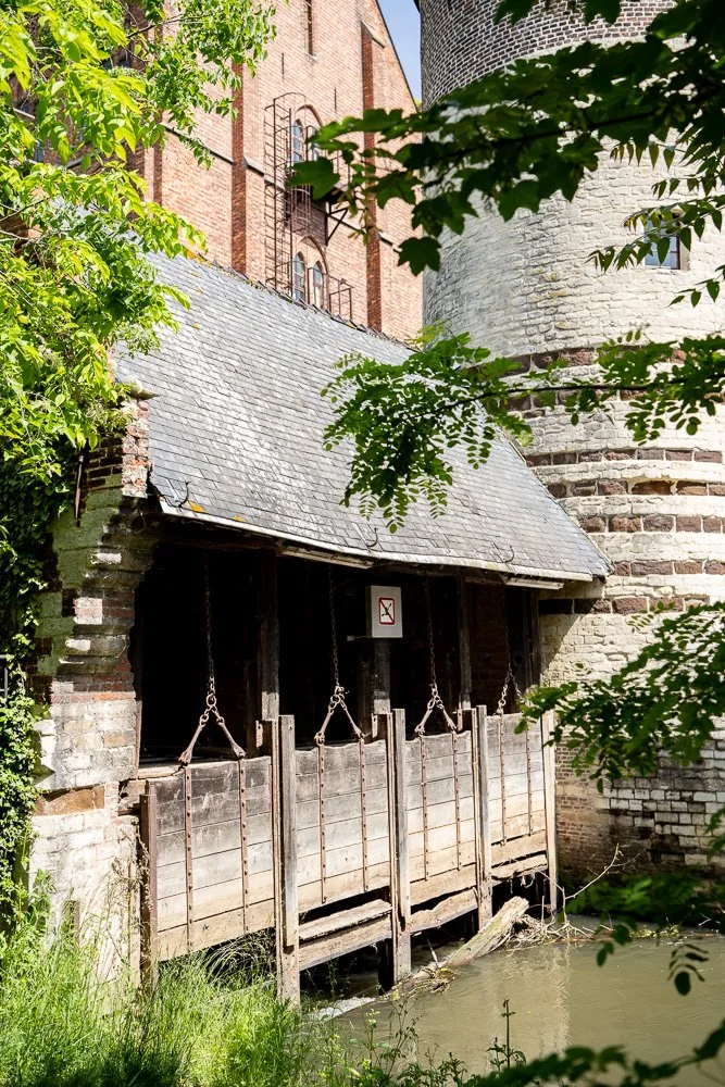 20260523_leuven_dijle_233.jpg