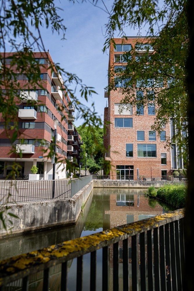 20260523_leuven_dijle_090.jpg