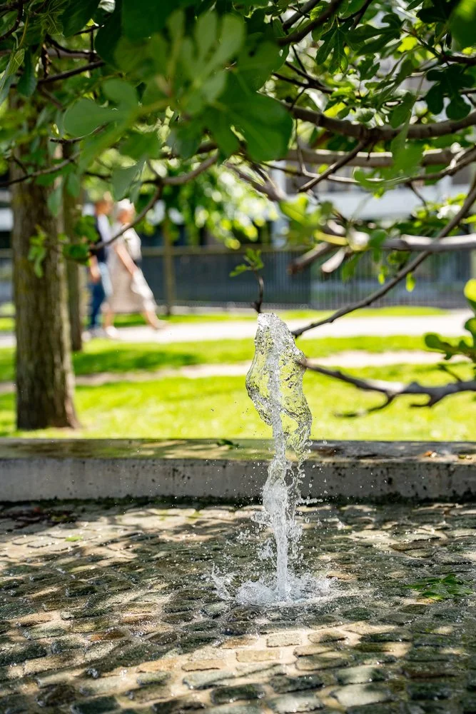 20260523_leuven_dijle_163.jpg