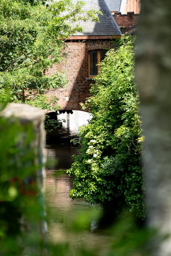 20260523_leuven_dijle_250.jpg