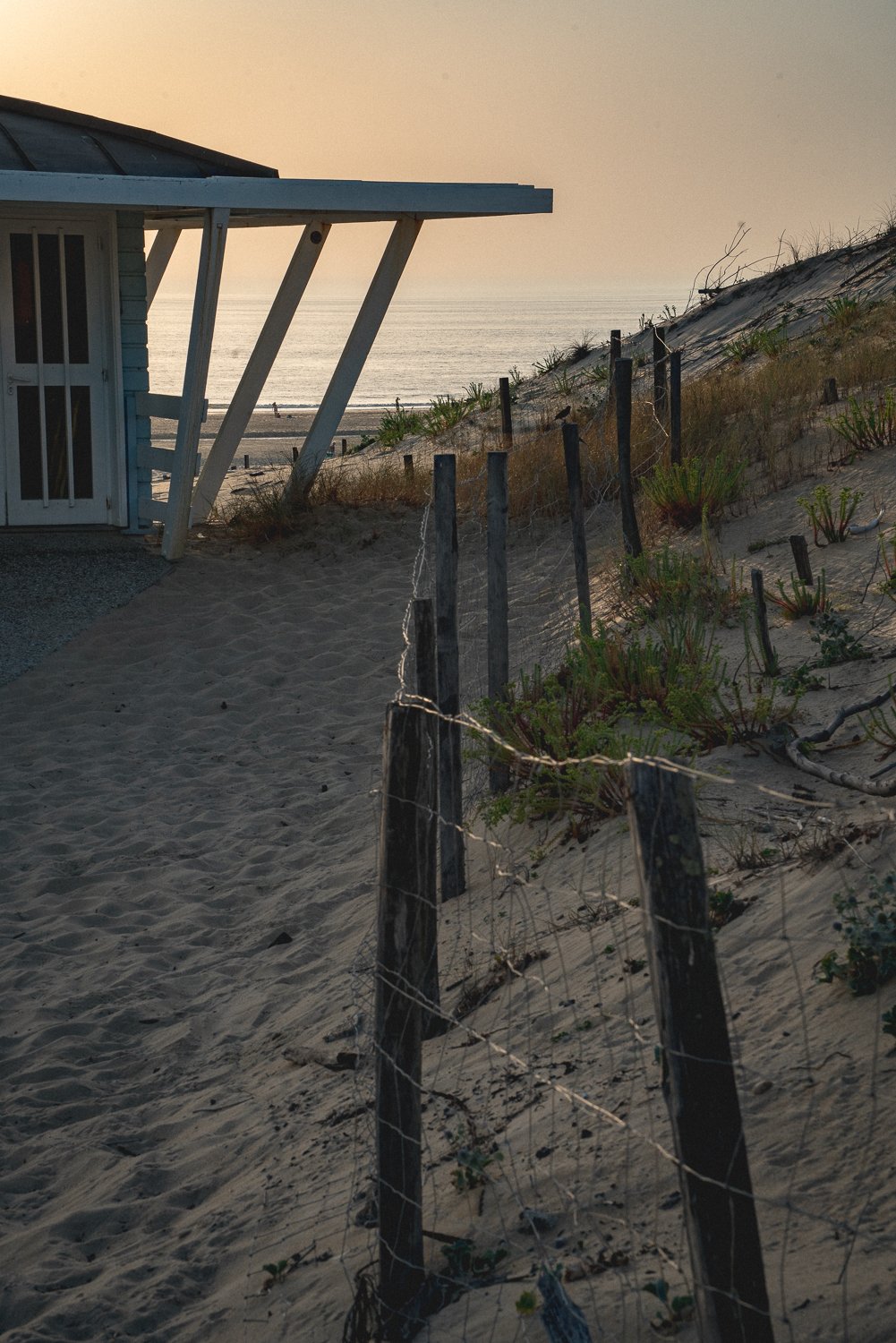 175. Dune