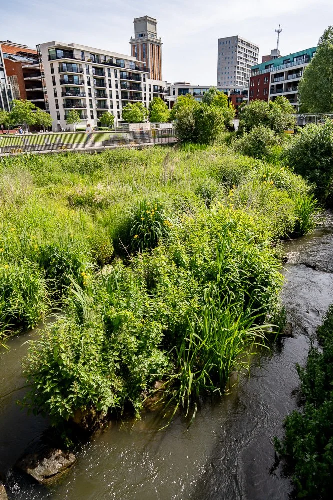 20260523_leuven_dijle_108.jpg