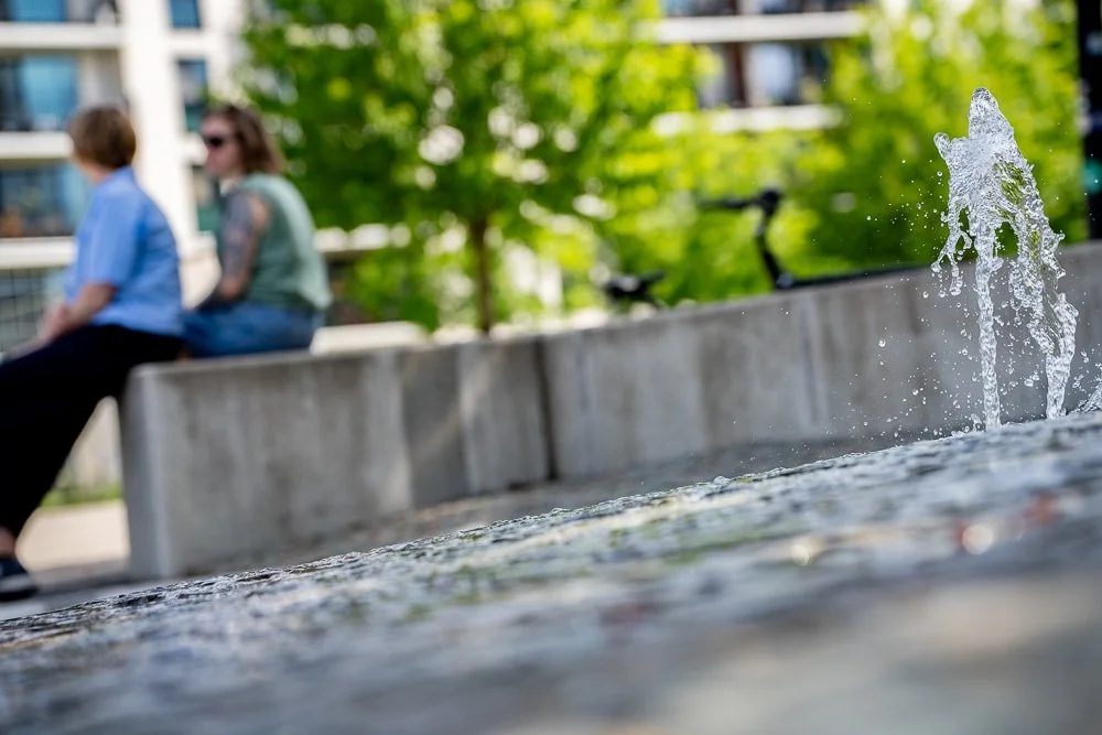 20260523_leuven_dijle_168.jpg