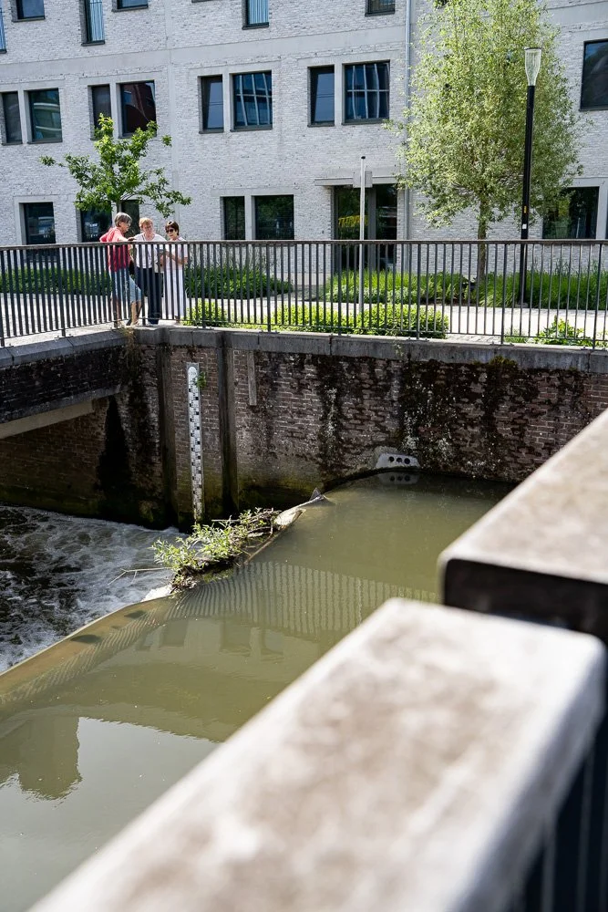 20260523_leuven_dijle_022.jpg