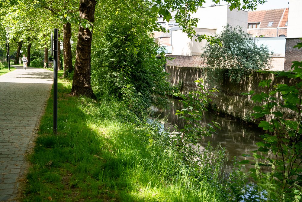 20260523_leuven_dijle_193.jpg