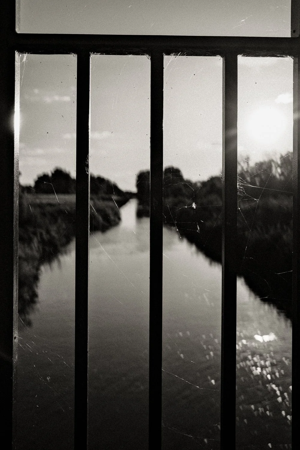 249. Grillig