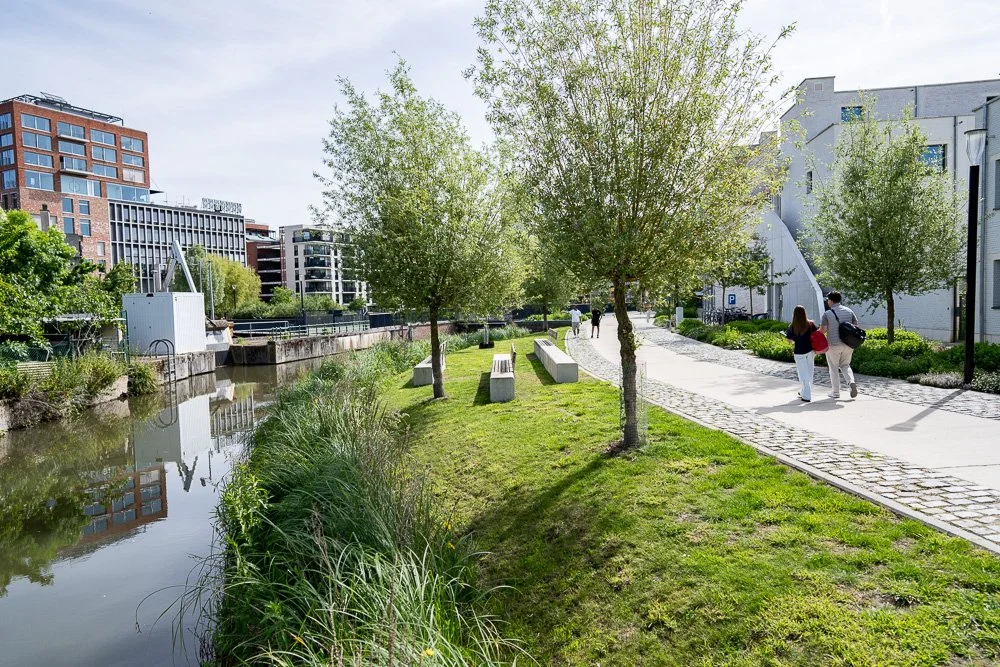 20260523_leuven_dijle_059.jpg