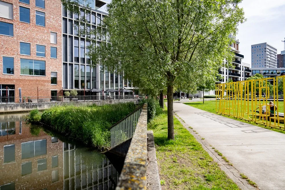 20260523_leuven_dijle_083.jpg