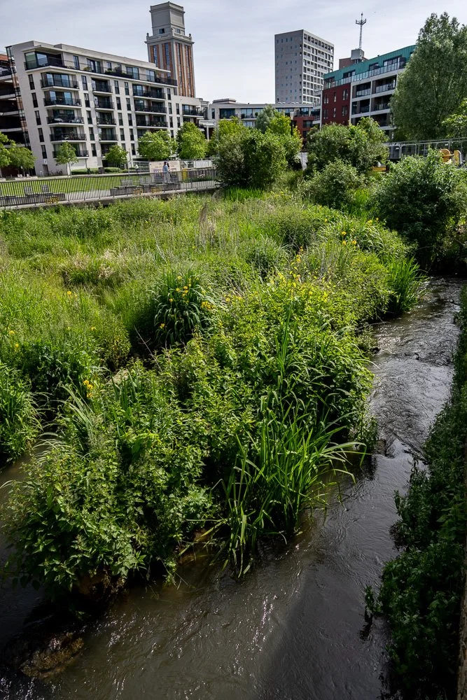 20260523_leuven_dijle_078.jpg