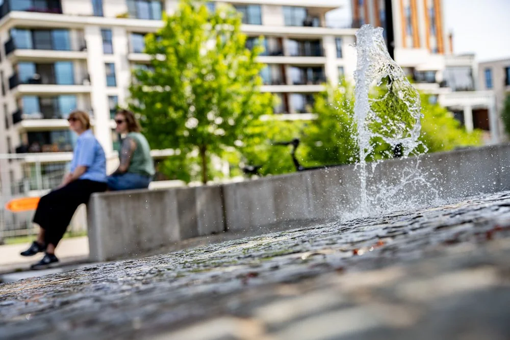 20260523_leuven_dijle_169.jpg