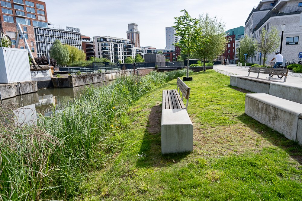 20260523_leuven_dijle_043.jpg