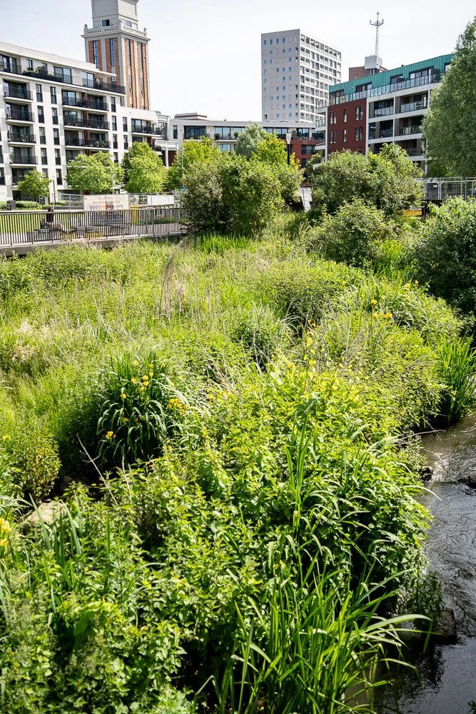 20260523_leuven_dijle_134.jpg
