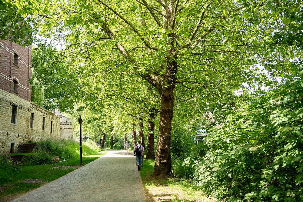20260523_leuven_dijle_221.jpg