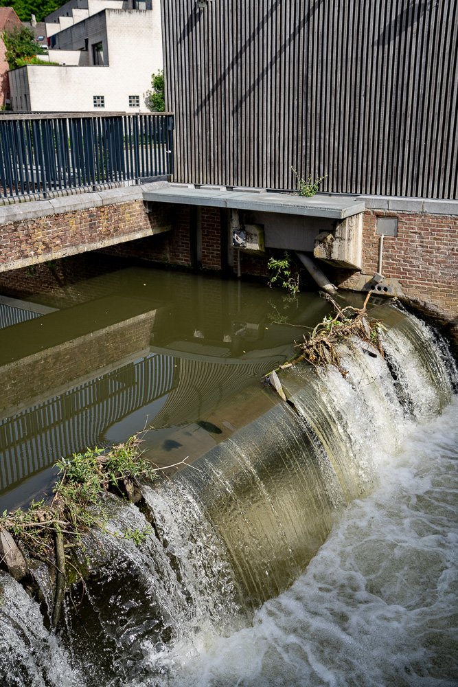 20260523_leuven_dijle_007.jpg