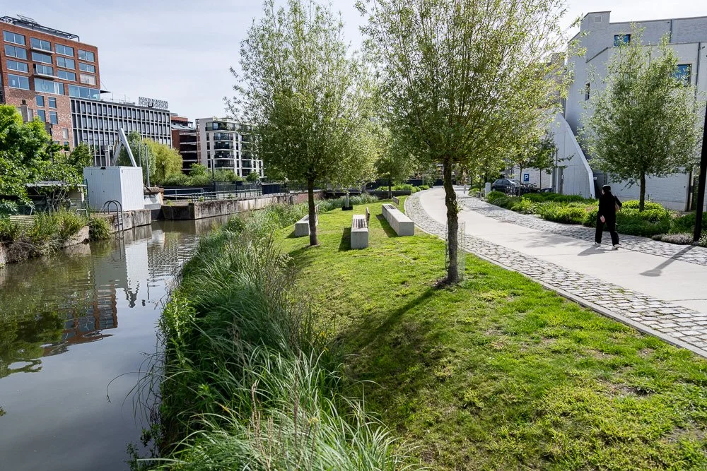 20260523_leuven_dijle_034.jpg