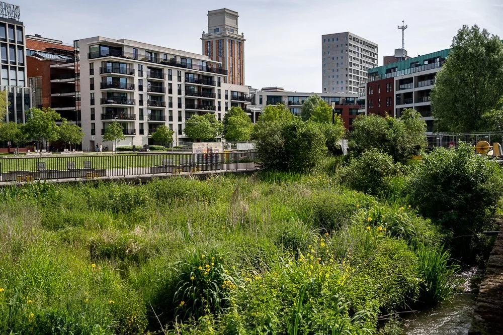 20260523_leuven_dijle_006.jpg